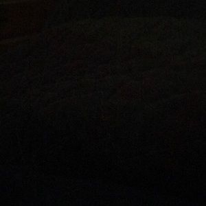 Meet your Posher, Winnie